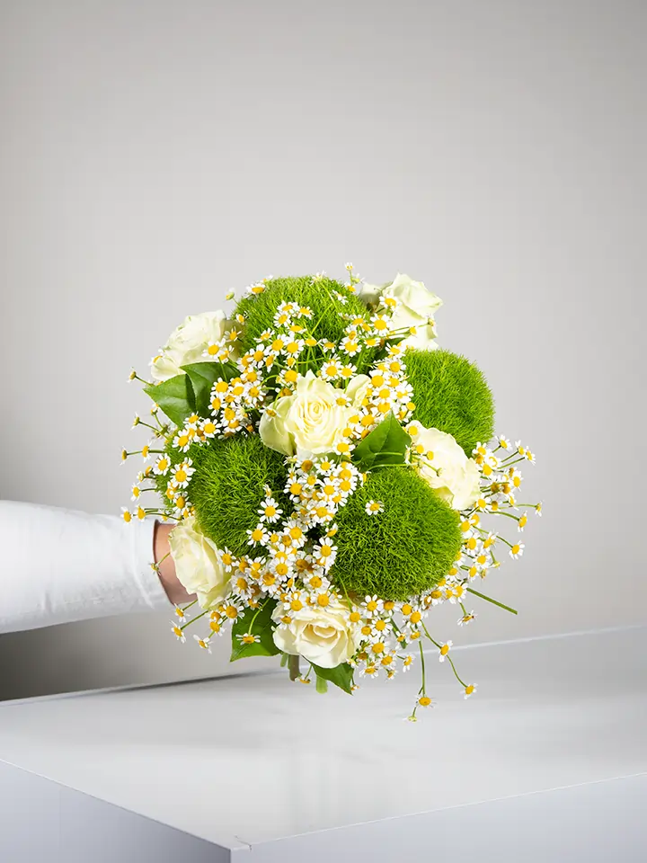 Bouquet di rose bianche e garofani verdi con camomilla in mano